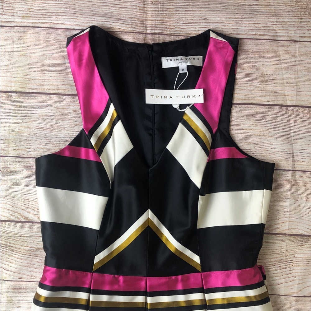 Trina Turk Black and Pink Striped Mini Dress - Picture 3 of 9